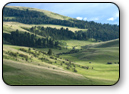 Land for sale bordered by state or forest service land in Prescott, Prescott Valley, Chino Valley and Dewey Arizona Land for sale bordered by state or forest service land in Prescott, Prescott Valley, Chino Valley and Dewey Arizona
