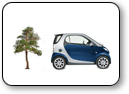 Land for sale close to town in the pines in Prescott, Arizona Land for sale close to town in the pines in Prescott, Arizona