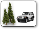 Land for sale in the pines in Prescott, Arizona Land for sale in the pines in Prescott, Arizona